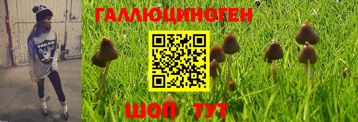 Галлюциногенные грибы Cubensis Зеленодольск